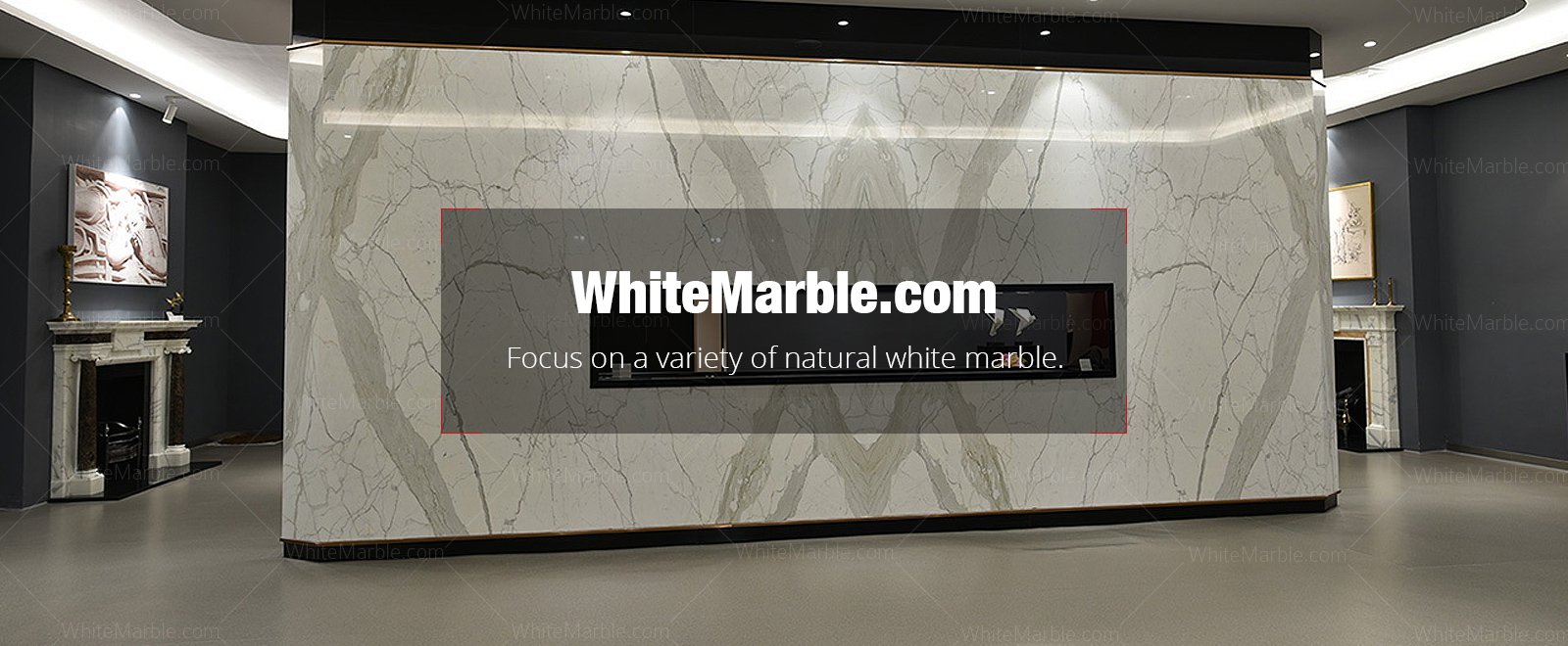 Focus on a variety of natural white marble